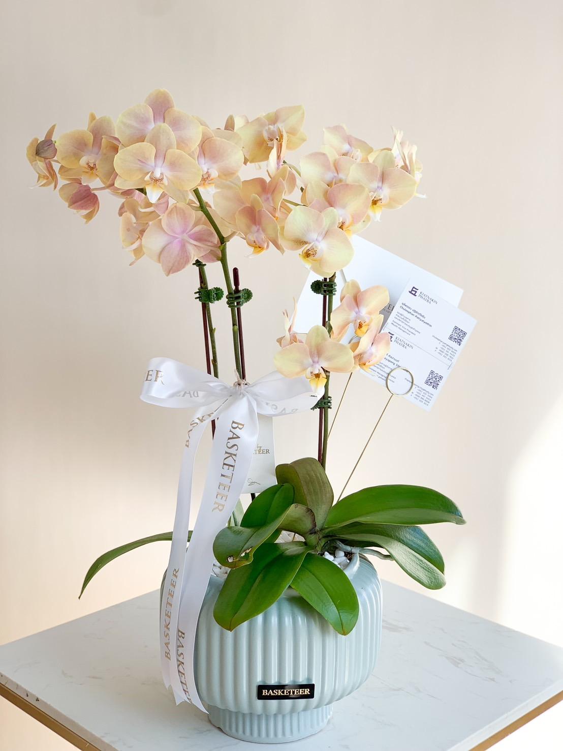 A Soft Blush Orchid Arrangement with pale peach and yellow flowers sits on a white surface. The plant is held in a light blue ribbed ceramic pot, adorned with a white ribbon that reads 