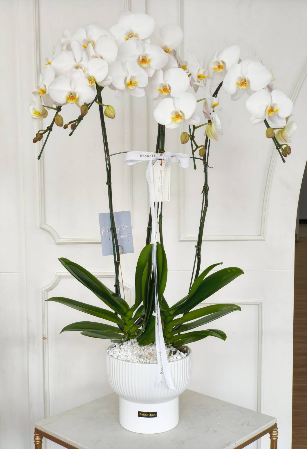 Elegant phalaenopsis orchid arrangement with cascading white blooms in a premium white ceramic pot.