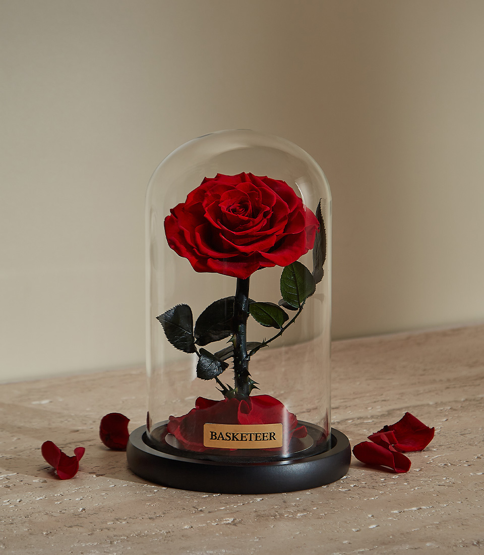Preserved Red Rose in Glass Dome - Basketeer - The Art Of Giving