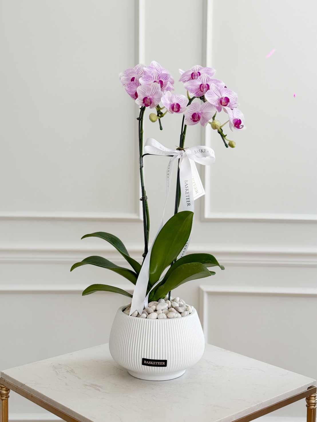 A white ceramic Blush Orchid Elegance Vase holds two stems of blooming pink orchids, adorned with a white ribbon. The pot is filled with white pebbles and placed on a white table against a white panelled wall.