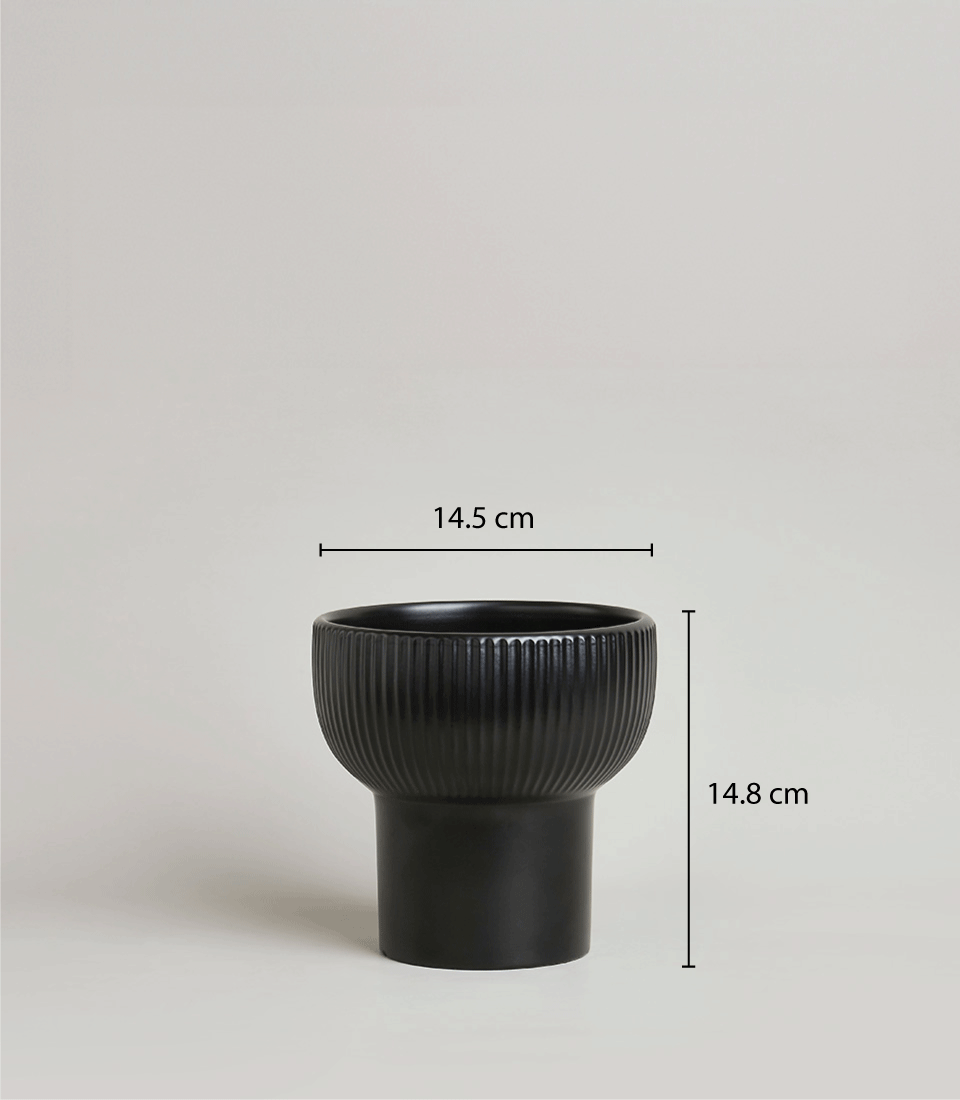 A black ceramic planter with vertical ridges on the upper half and a smooth, cylindrical base, perfect for showcasing your White Pearl Orchid. Dimensions are 14.5 cm in width and 14.8 cm in height. The background is plain and light-colored.