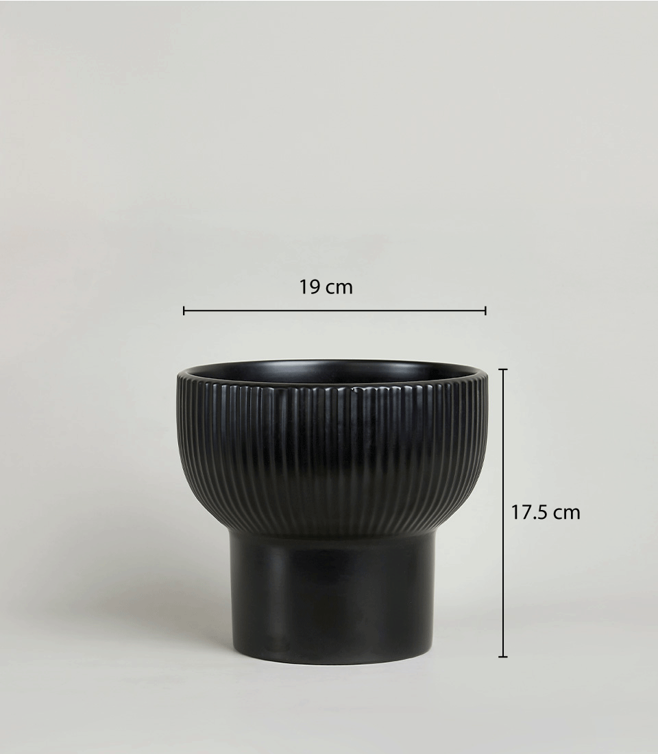 A black ceramic planter with a ribbed, rounded body and a cylindrical base, set against a plain, light-colored background. Perfect for showcasing a White Pearl Orchid, the planter's dimensions are 19 cm in diameter and 17.5 cm in height.