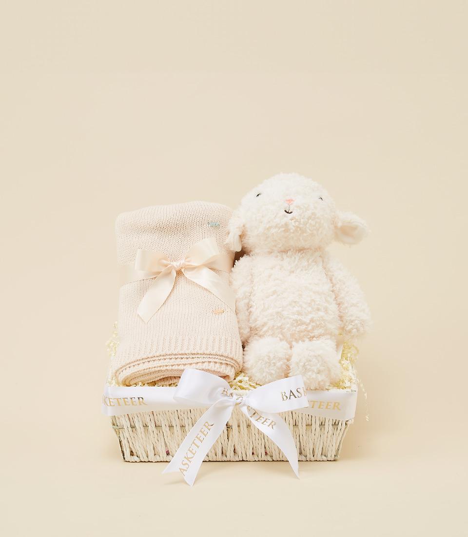 A newborn gift set featuring a pastel blanket and a fluffy white lamb.