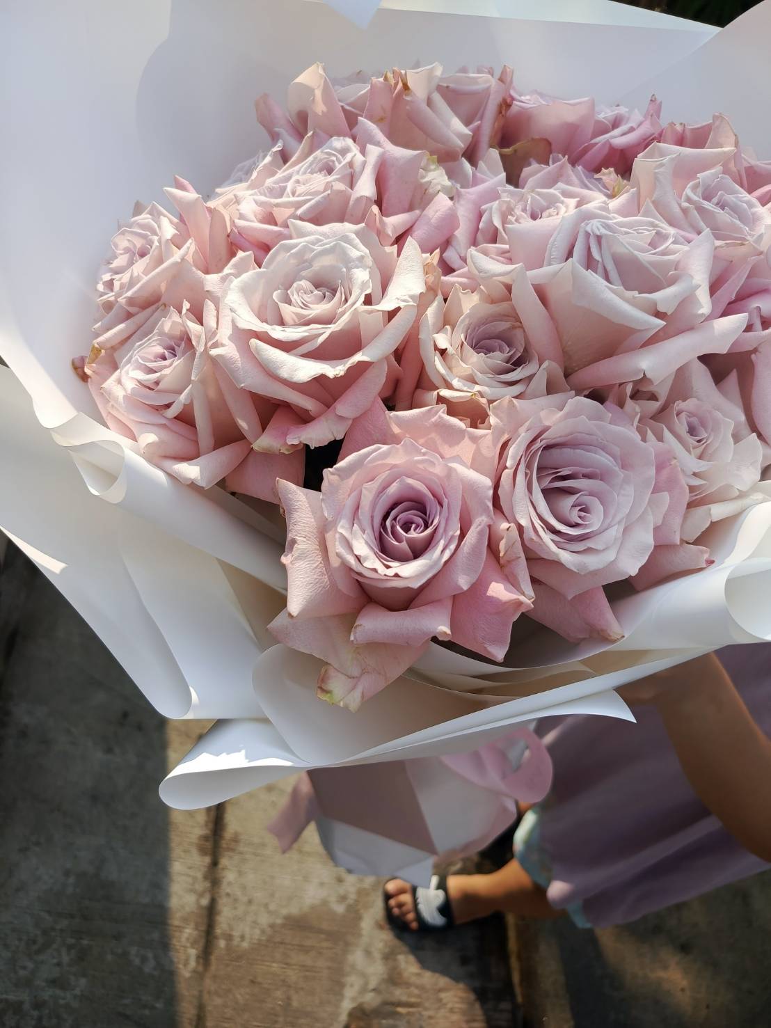 A stunning bouquet of lilac roses, wrapped in delicate white paper, exuding romance and sophistication.