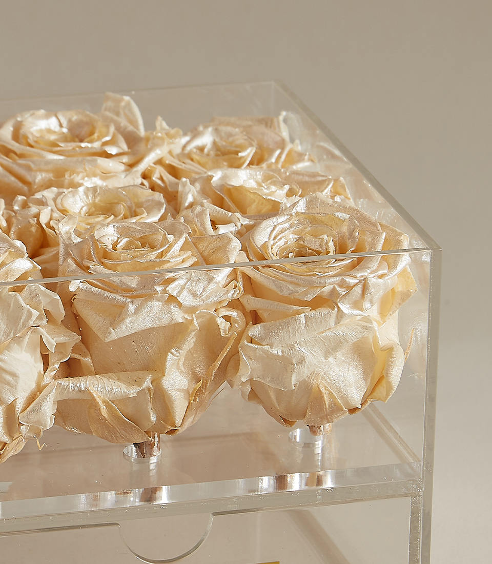 Close-up of a box of nine champagne gold preserved roses in a clear acrylic display case, accented with a white satin ribbon and an elegant gold plaque reading 