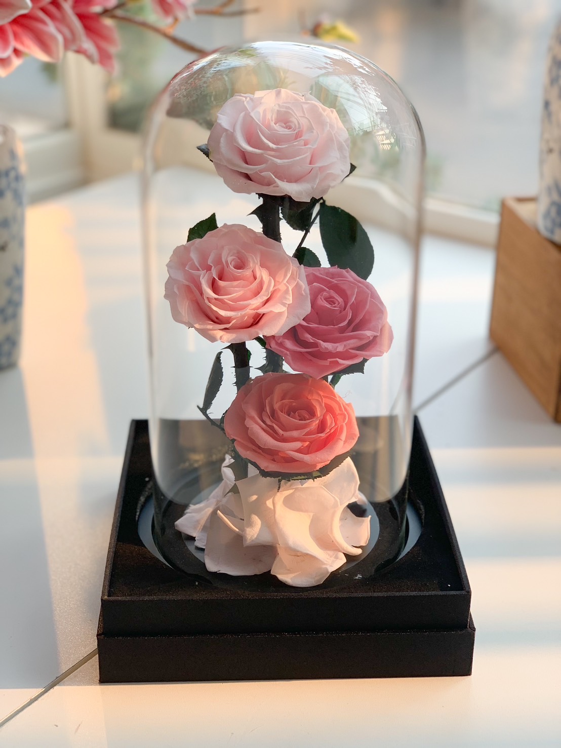 Elegant Preserved Roses in Glass Dome – Eternal Blush Trio