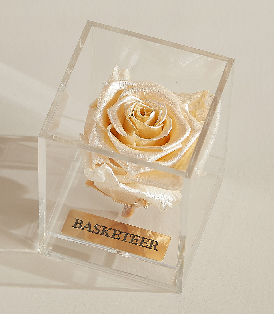 Close-up of a single gold preserved rose displayed in a transparent acrylic box with a gold-engraved Basketeer nameplate.