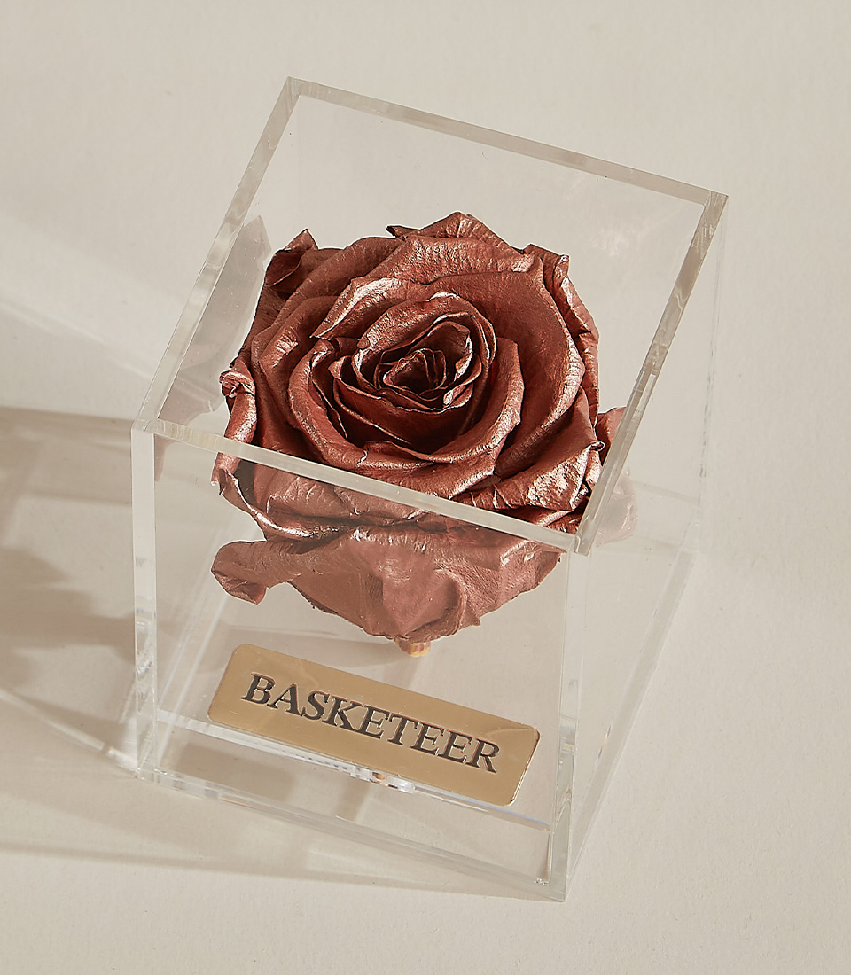 Close-up of a single bronze preserved rose beautifully presented in a transparent acrylic box with a gold-engraved Basketeer nameplate.
