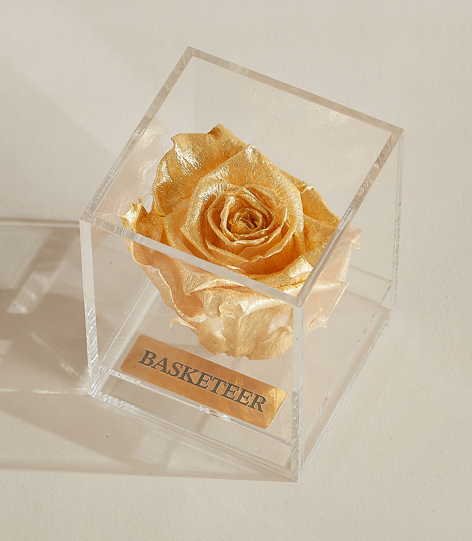 Close-up of a golden preserved rose beautifully placed in a transparent acrylic box with a gold-engraved Basketeer nameplate and an elegant white ribbon.