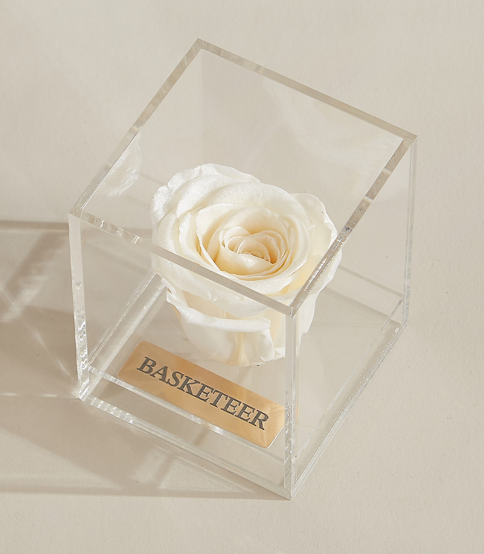Close-up of a white preserved rose elegantly placed in a transparent acrylic box with a gold-engraved Basketeer nameplate and a delicate white ribbon.