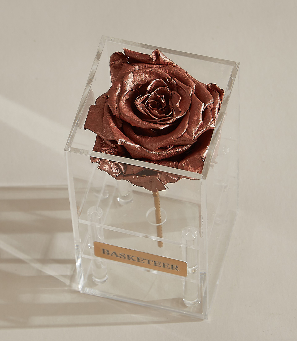 A bronze preserved rose in a transparent acrylic box, featuring a gold-engraved Basketeer nameplate, showcasing its luxurious presentation.