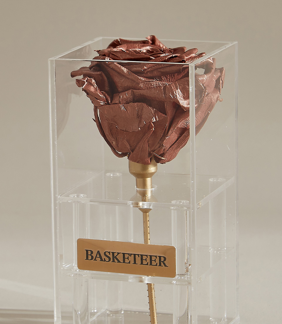 Close-up of a bronze preserved rose with a gold-plated stem, showcased in a transparent acrylic box with a gold-engraved Basketeer nameplate and a black ribbon.