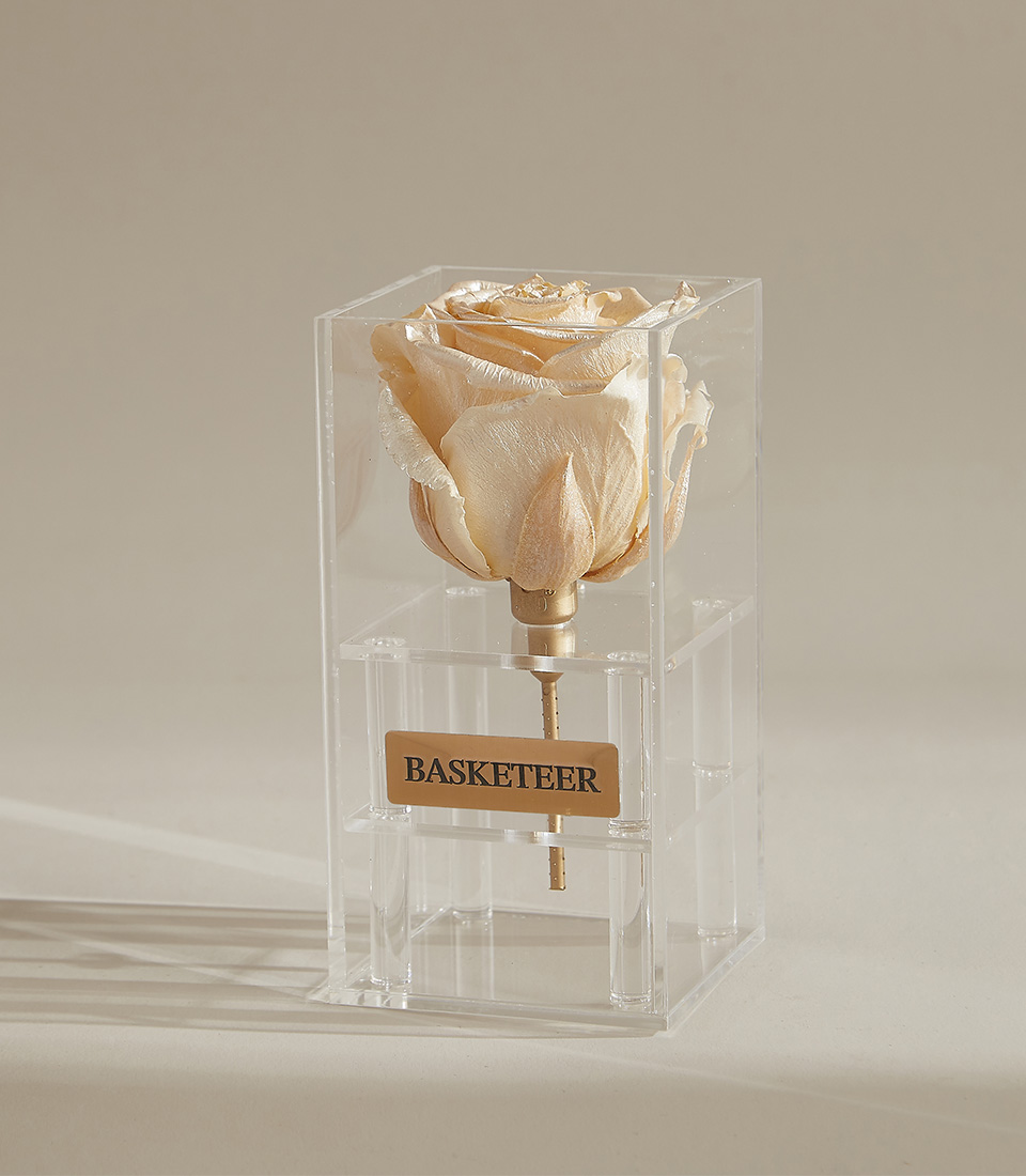 A sari - Metalized & Pearl preserved rose with a gold-plated stem, showcased in a transparent acrylic box with a gold-engraved Basketeer nameplate and a black ribbon.