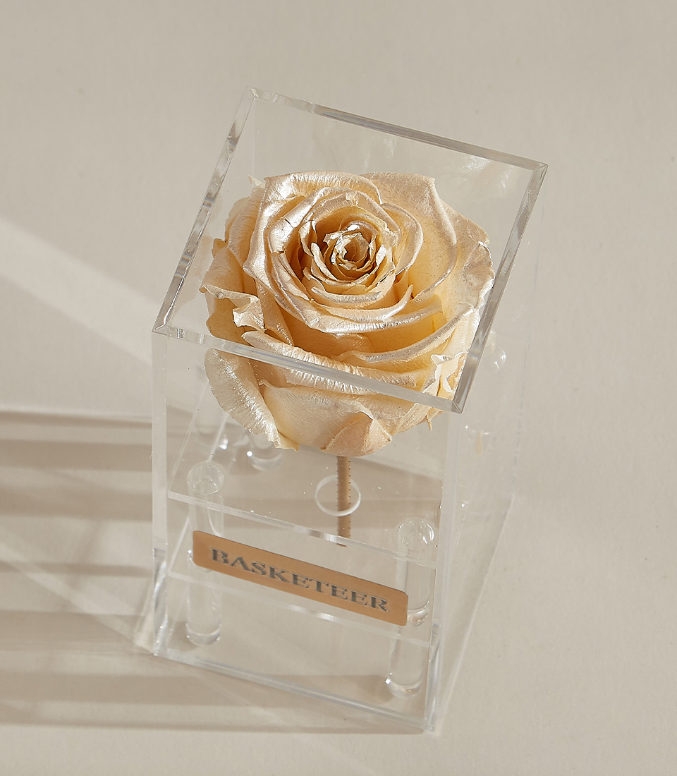A sari - Metalized & Pearl preserved rose in a transparent acrylic box, featuring a gold-engraved Basketeer nameplate, showcasing its luxurious presentation.