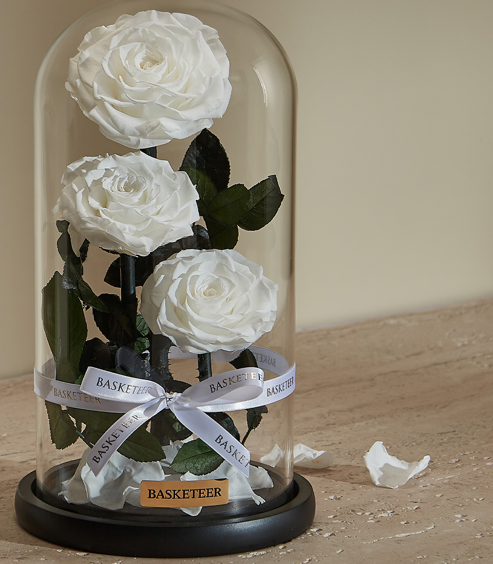 Close-up of a beautifully preserved arrangement of white roses inside an elegant glass dome with a sleek black wooden base.