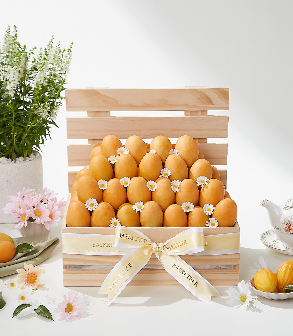 A beautifully arranged Mayongchid mango gift basket, featuring fresh golden-hued Mayongchid (Marian Plum) mangoes in an elegant wooden crate, adorned with white daisy flowers and a satin ribbon—a luxurious fruit gift for special occasions.