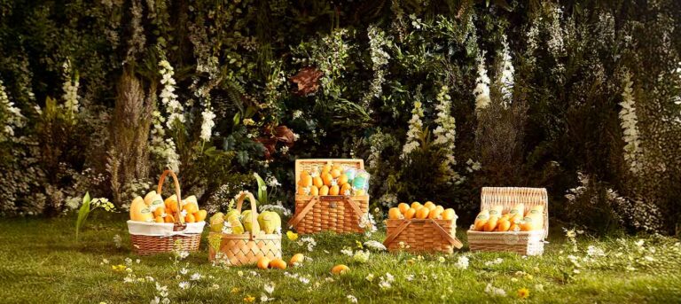 The Importance of Thai Summer Fruits : A Seasonal Delight