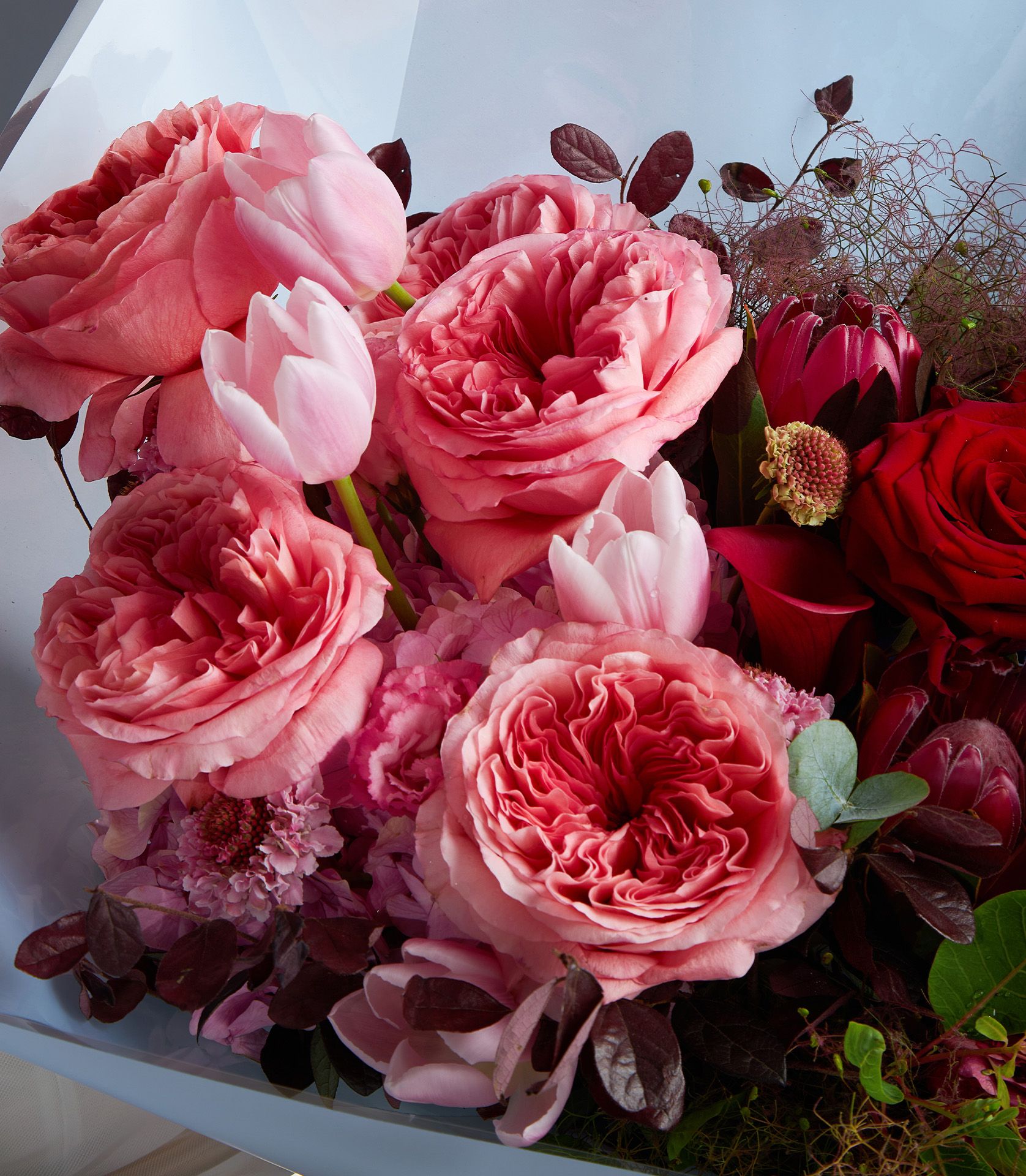 Luxury bouquet of Pink X-pression and red Explorer roses with tulips, scabiosa, and protea.