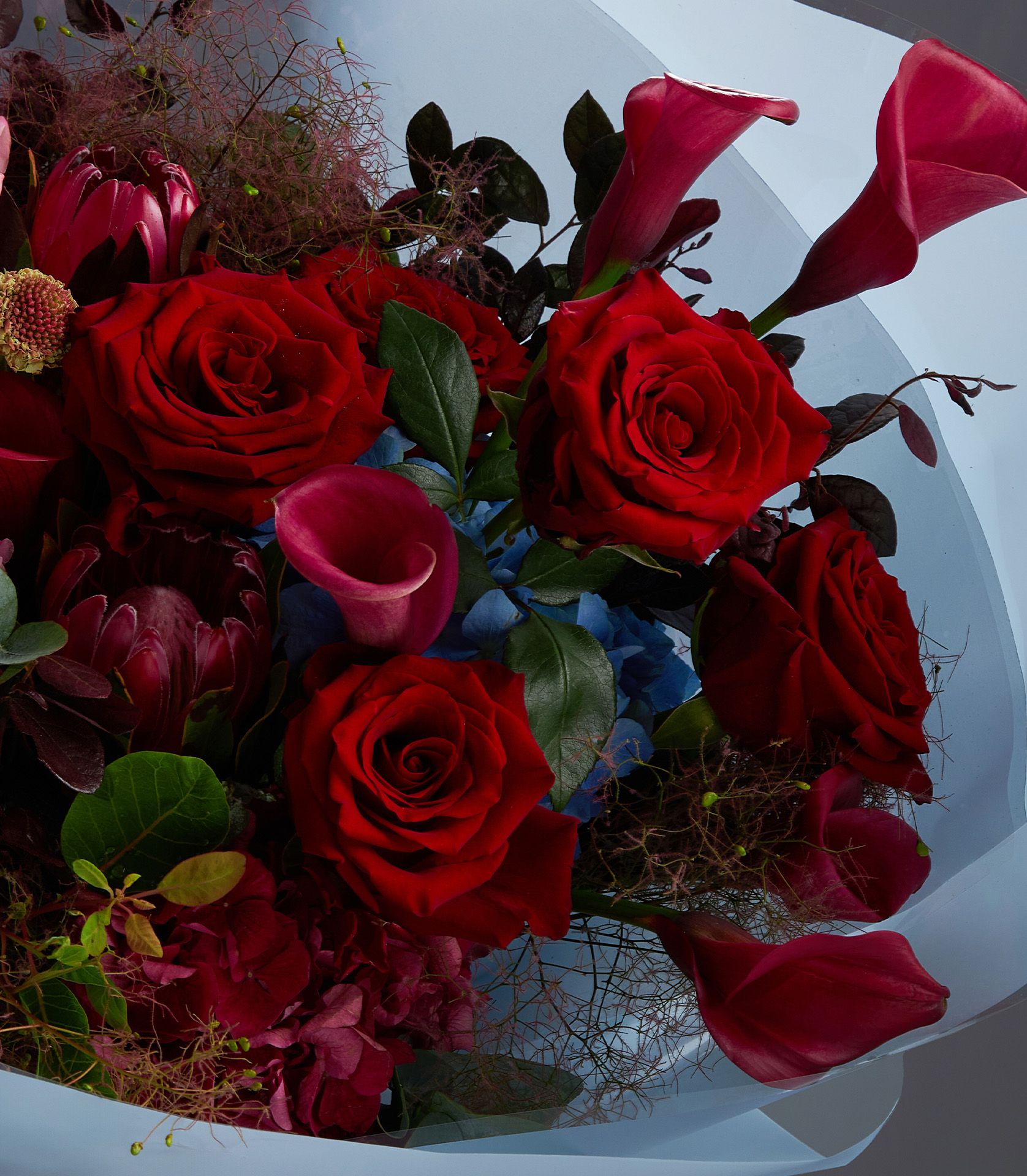 Close-up of deep red Explorer roses, pink calla lilies, burgundy protea, and dark foliage in a premium bouquet