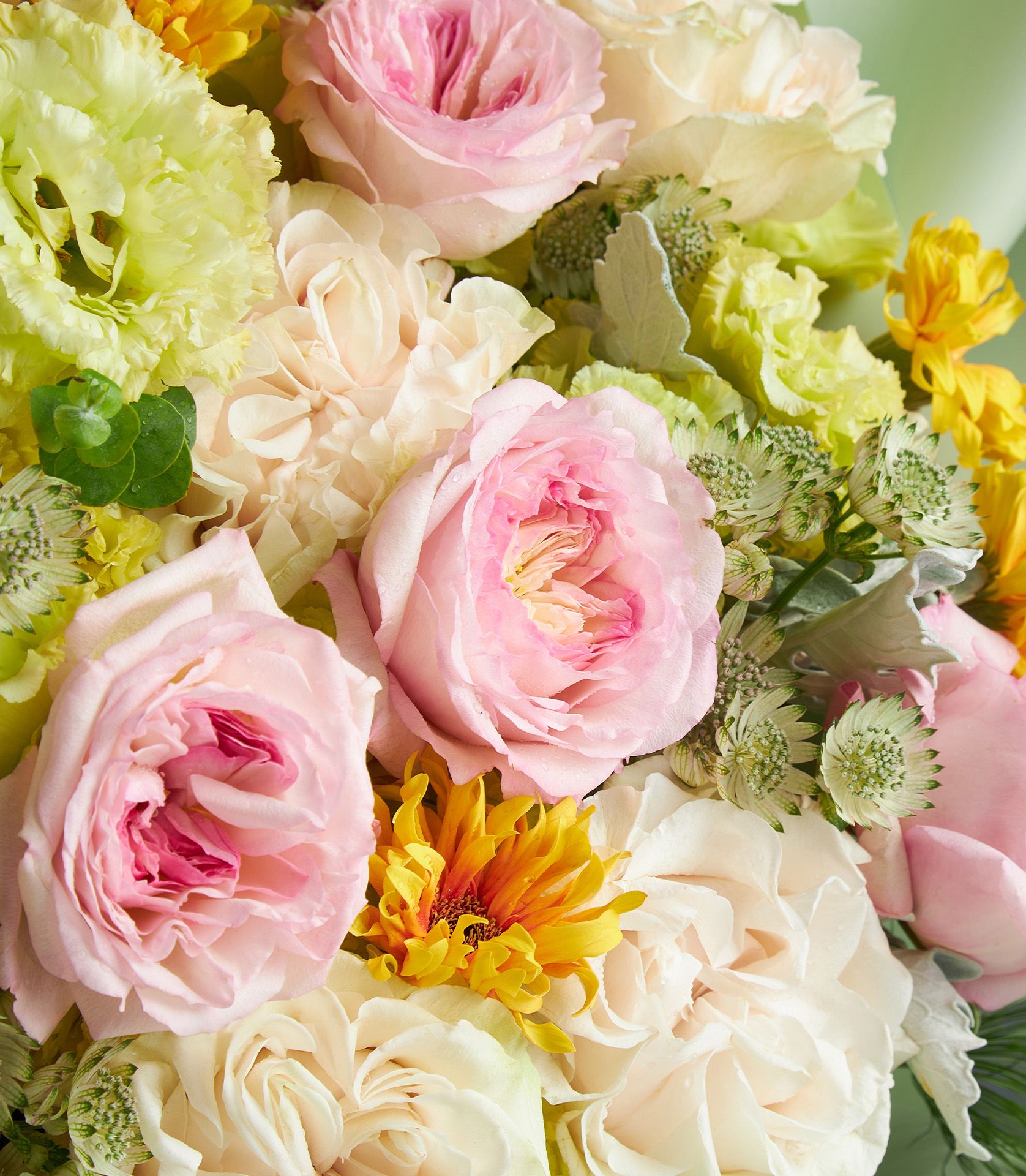 Close-up pastel bouquet featuring Keira roses, Cotton Xpression roses, yellow gerberas, green lisianthus, and astrantia with soft foliage.
