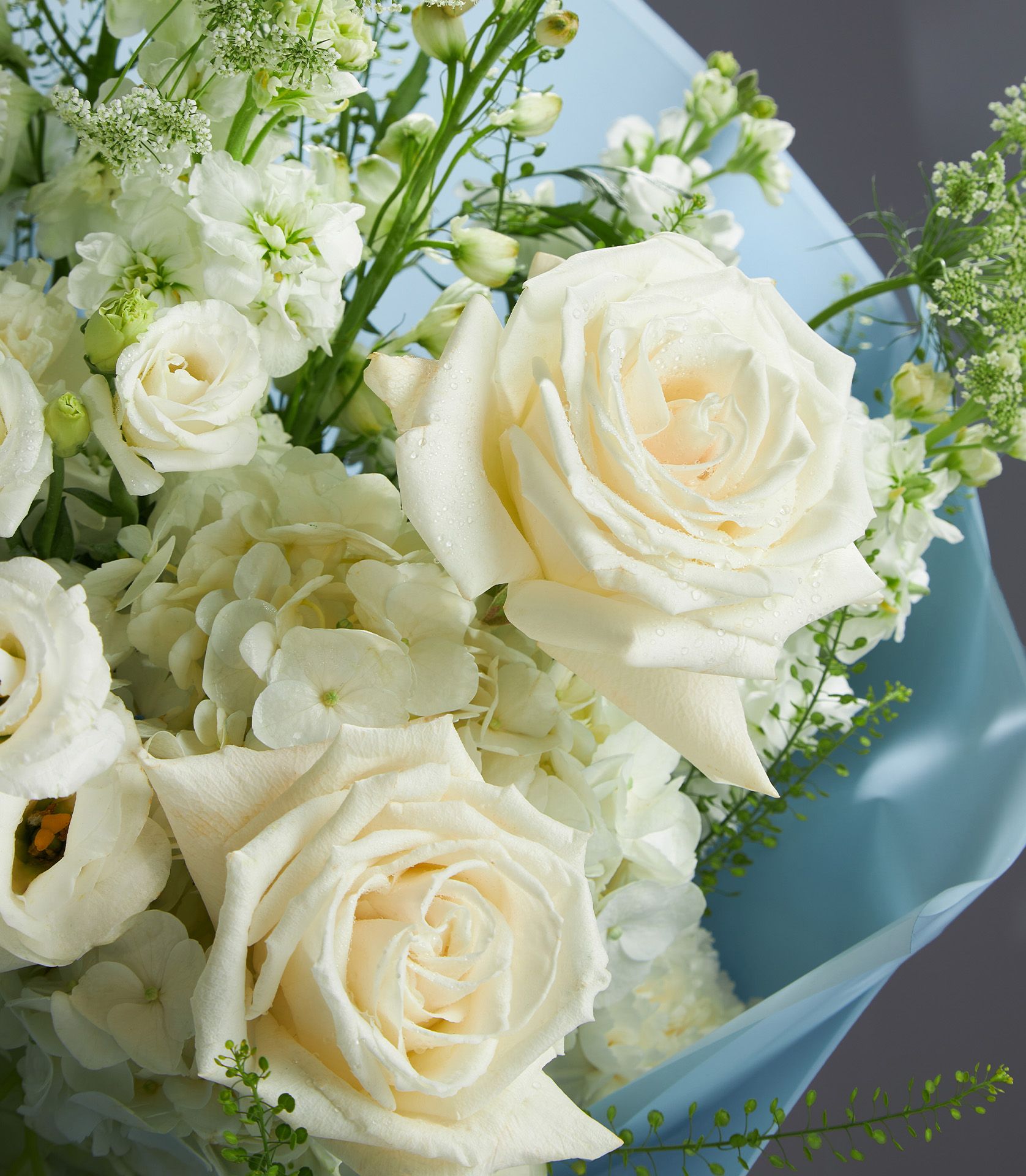 Luxury bouquet with Playa Blance roses, white delphinium, white stock, and Majolica spray roses in light blue wrapping