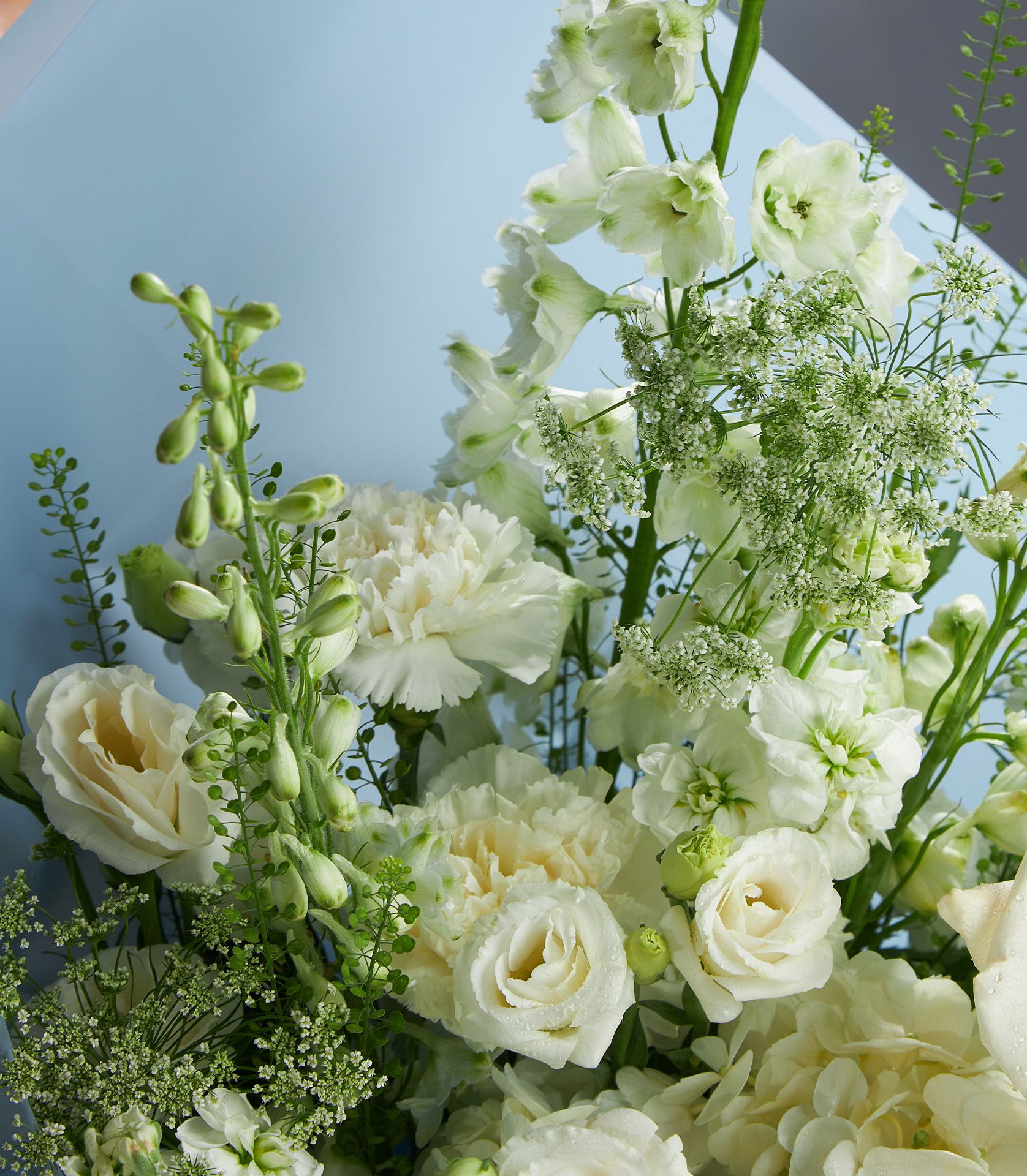 Close-up of white Playa Blance roses, white carnations, lisianthus, delphinium, and Ammi Majus wrapped in powder blue floral paper