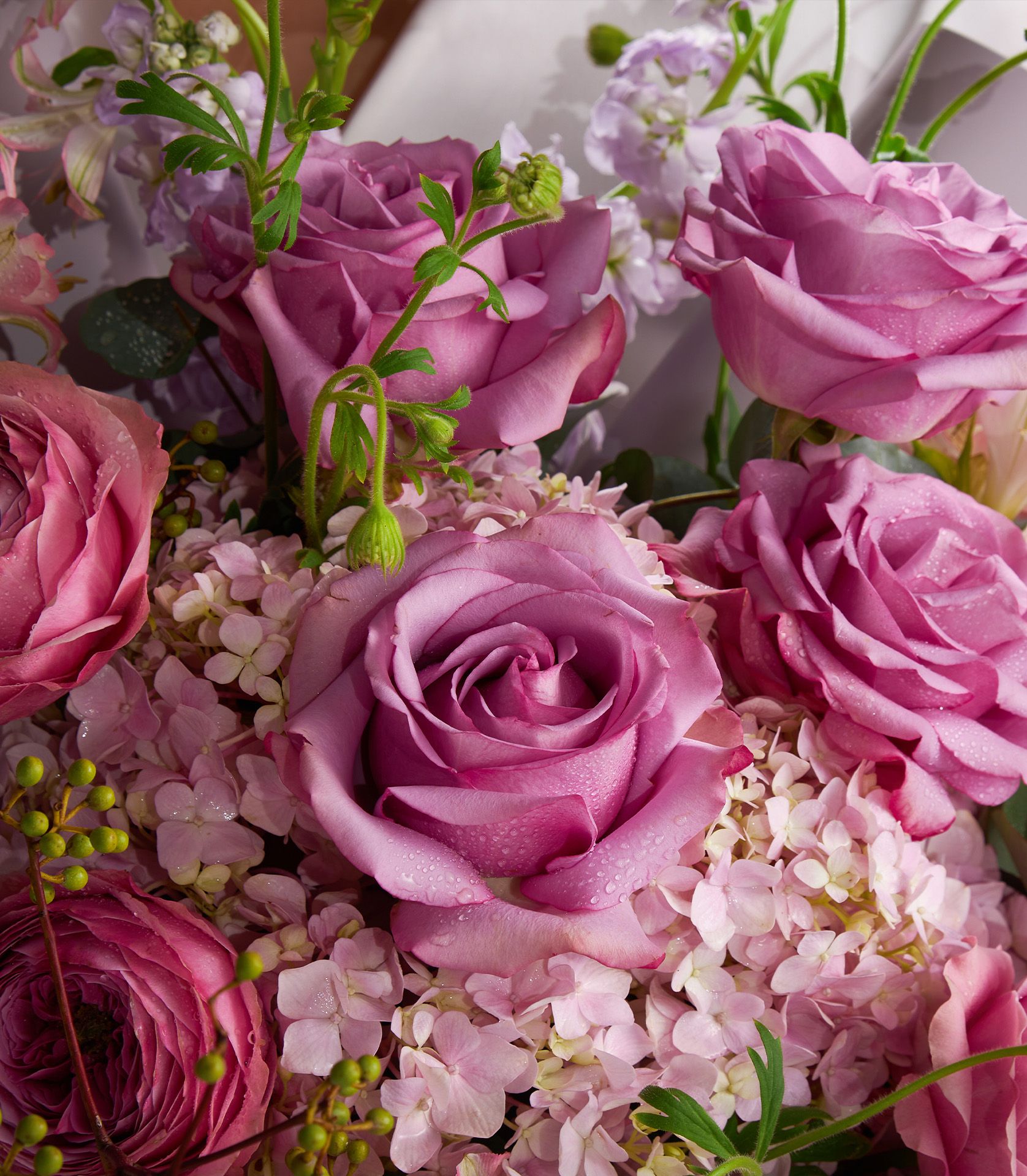 Close-up of Cool Water roses with pink hydrangeas, Peonikiss roses, purple stock, and green berries in a luxury bouquet.