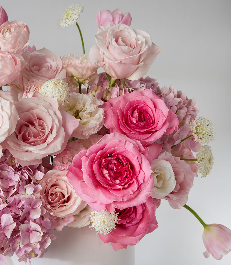 Nuage & Pink Cloud Roses with Ranunculus & Tulips – Pearl Leather