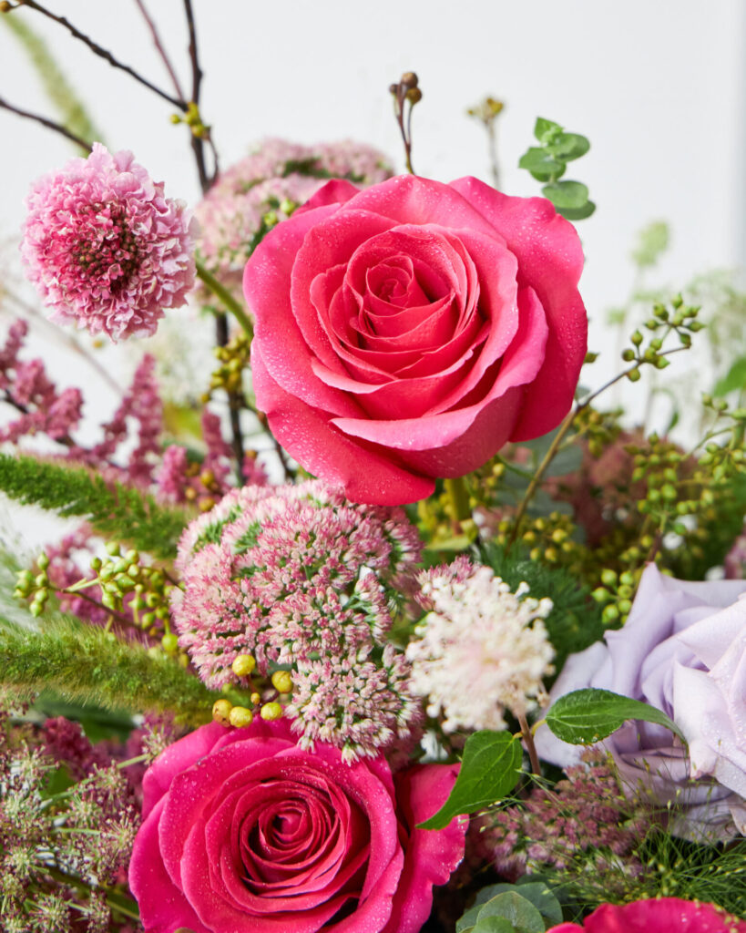 Close-up of pink roses from Flowers by Basketeer with natural dew drops