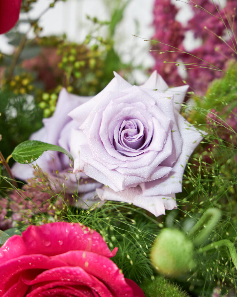 Close-up of lavender rose from Flowers by Basketeer with dew drops
