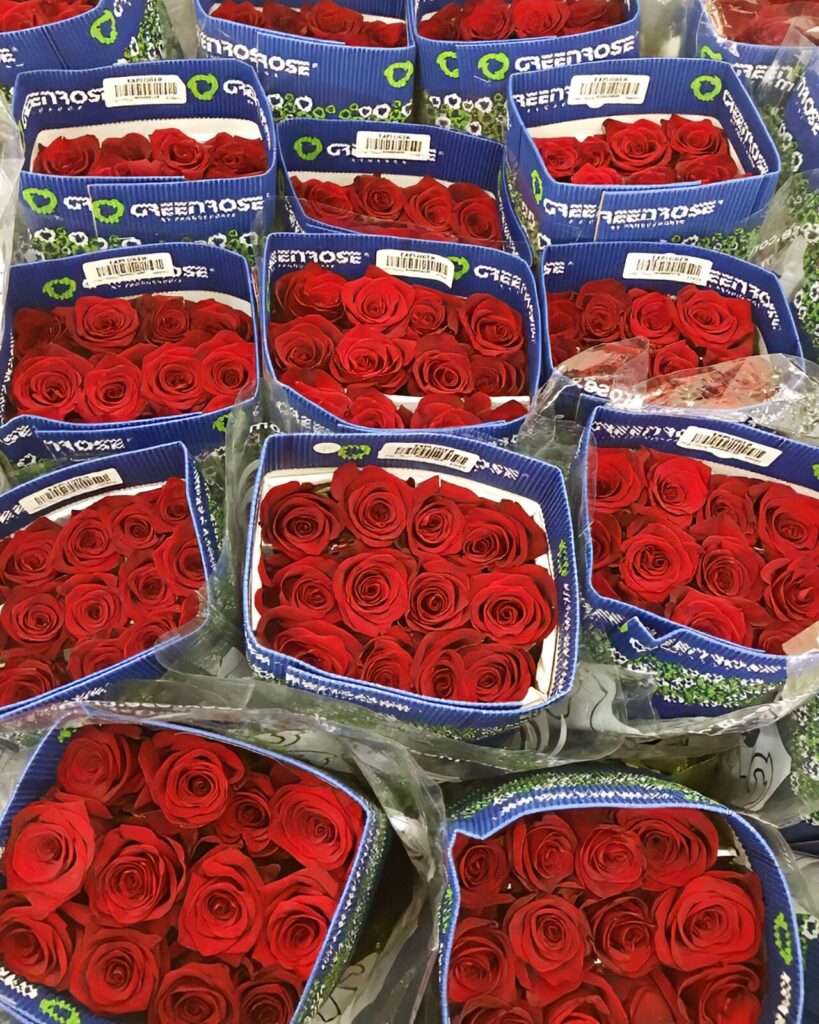 Imported red roses in packaging boxes from Flowers by Basketeer