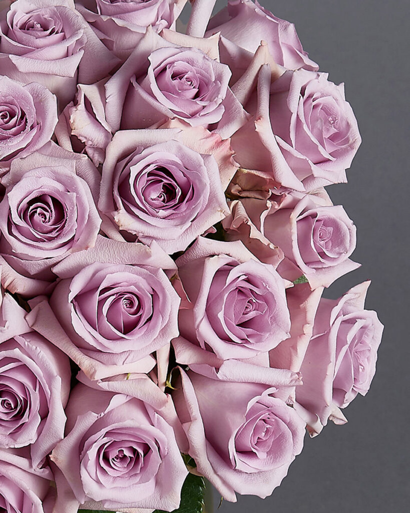 Close-up of premium imported Ocean Song lavender roses by Flowers by Basketeer.