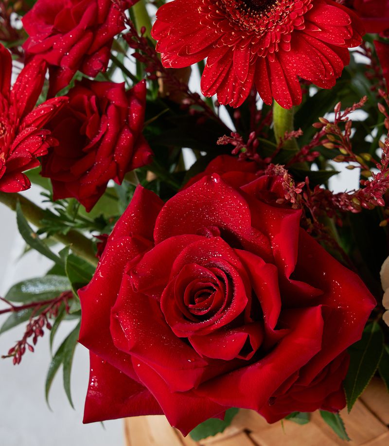 Imported Ecuadorian Roses