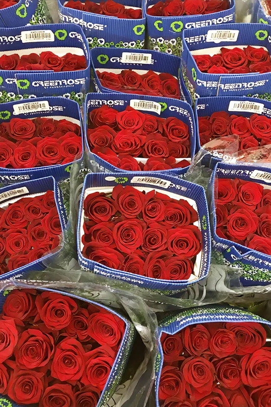 Premium imported flowers, freshly selected every day