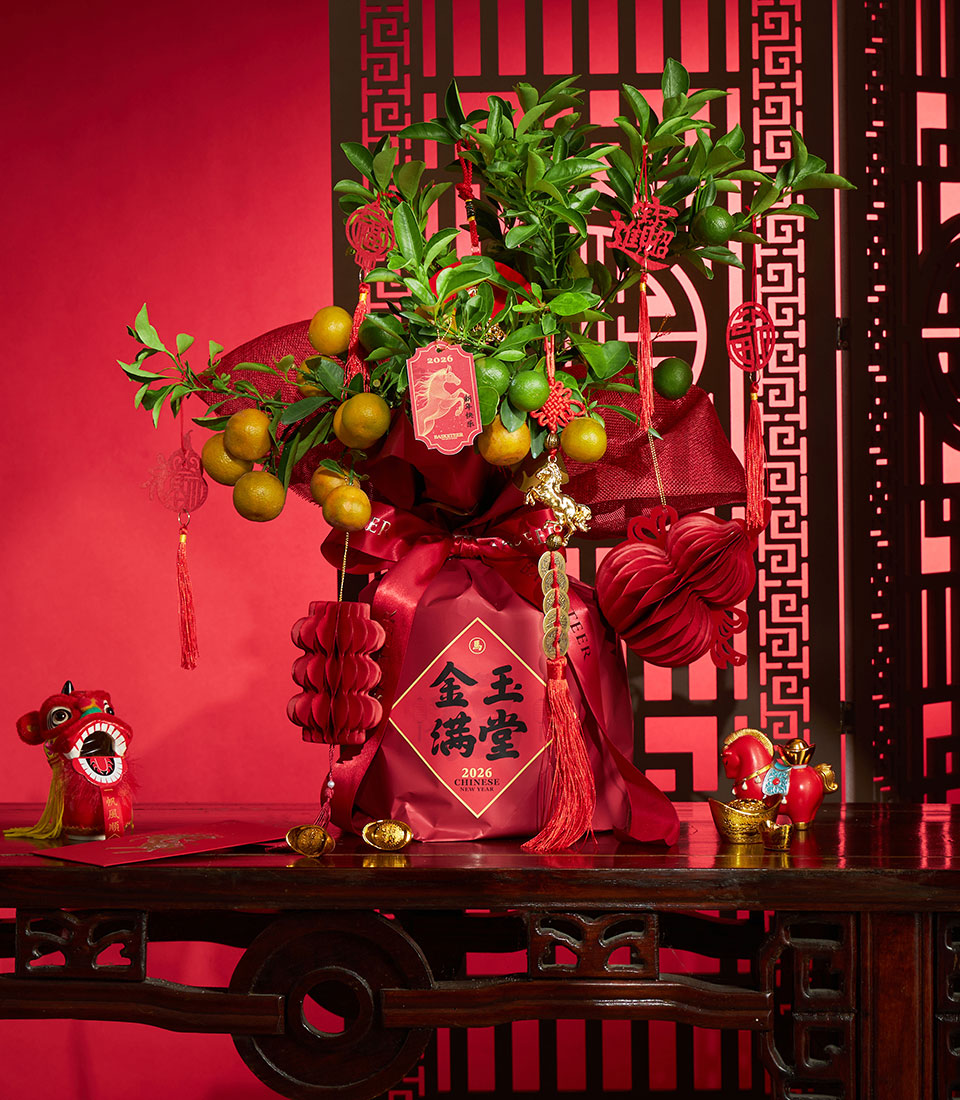 Chinese New Year prosperity mini kumquat tree live plant decoration