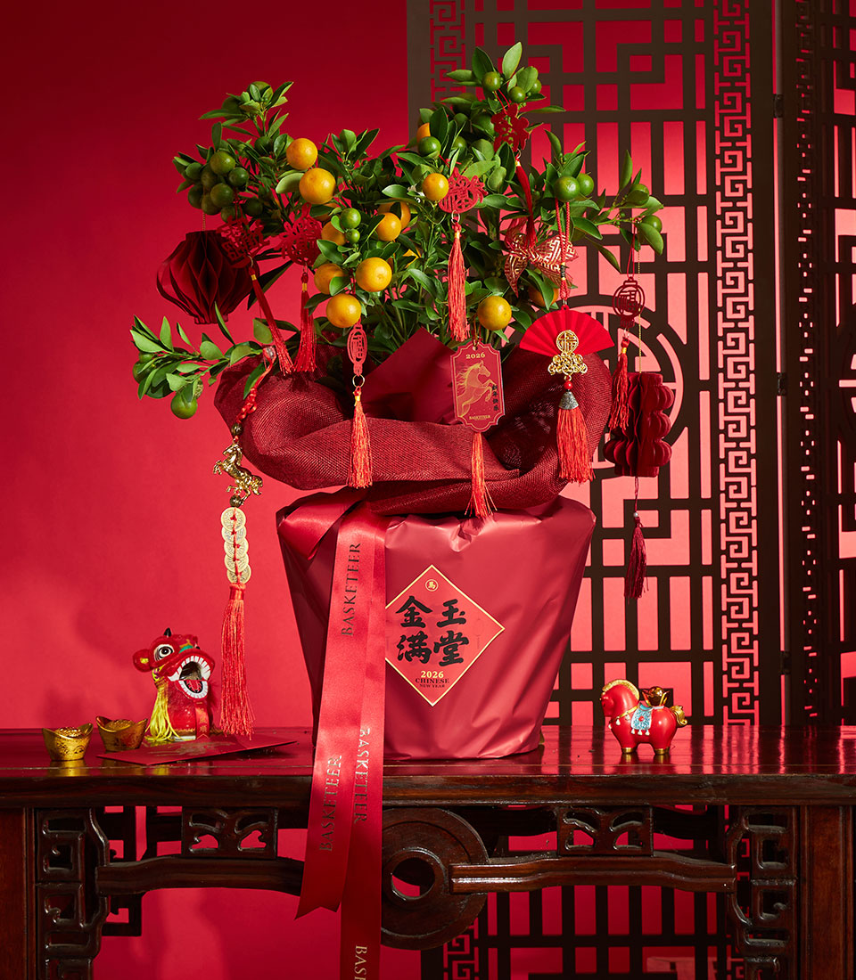 Chinese New Year wealth kumquat tree live plant decoration