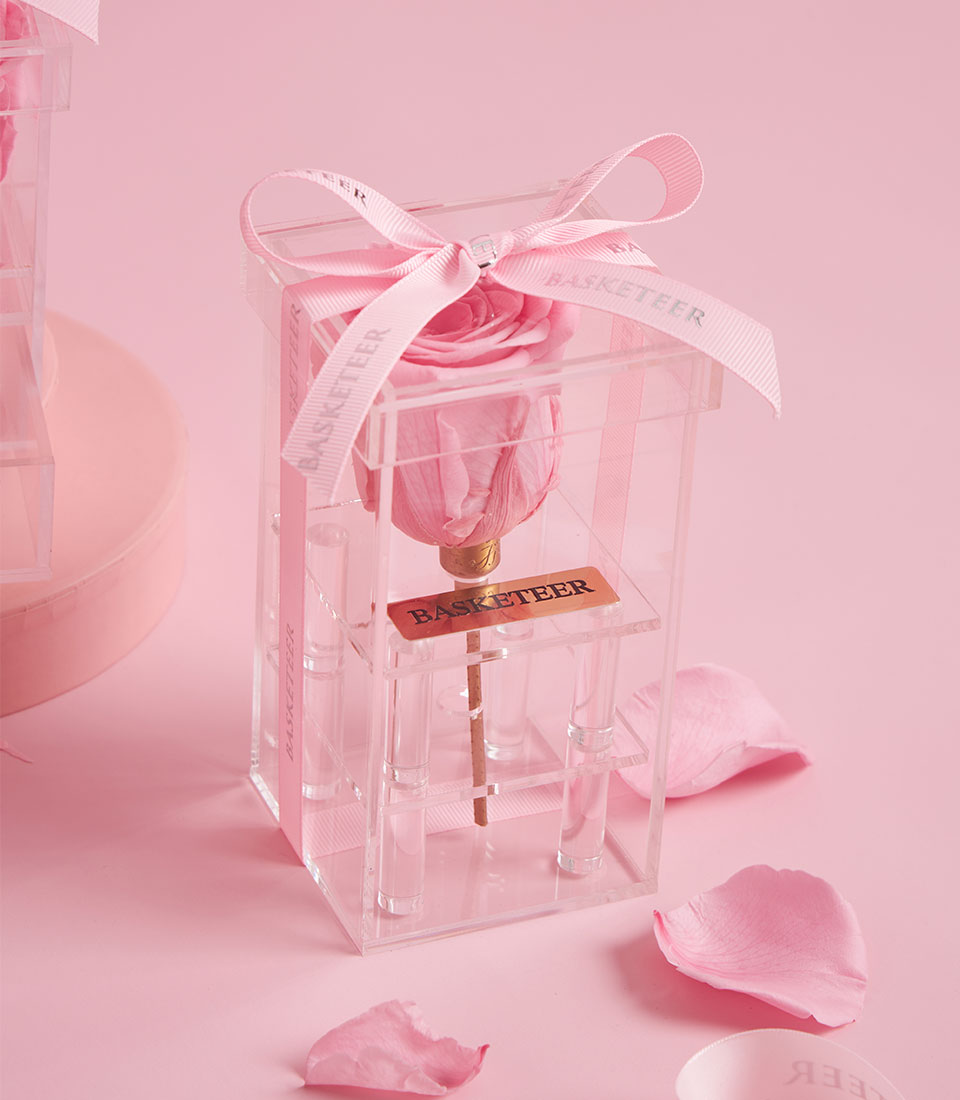 Premium pink preserved roses in a clear acrylic box, Valentine gift with Bangkok delivery