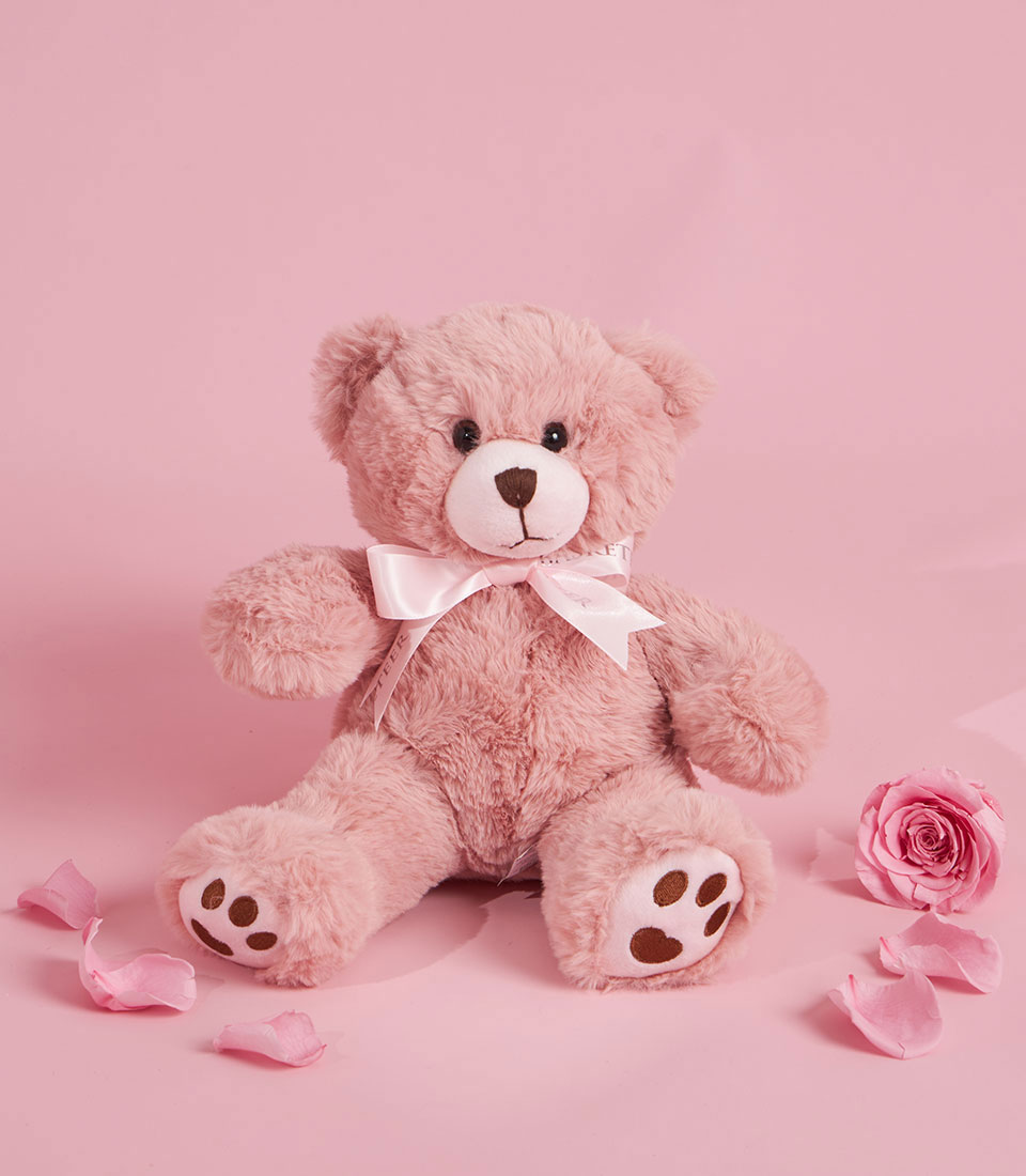 Soft pink teddy bear Valentine gift with ribbon, Bangkok delivery