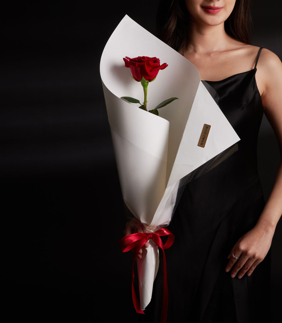 A single premium red rose for Valentine gift delivery in Bangkok SKU VLT26-2028lFront view of a model holding a single red rose in modern white sculptural wrappinglClose-up of a fresh red rose in a luxury Valentine arrangement with a red ribbonlMinimalist red rose bouquet with architectural paper styling