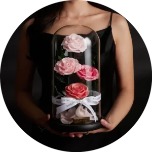 ดอกไม้แห้ง ดอกไม้อบแห้ง